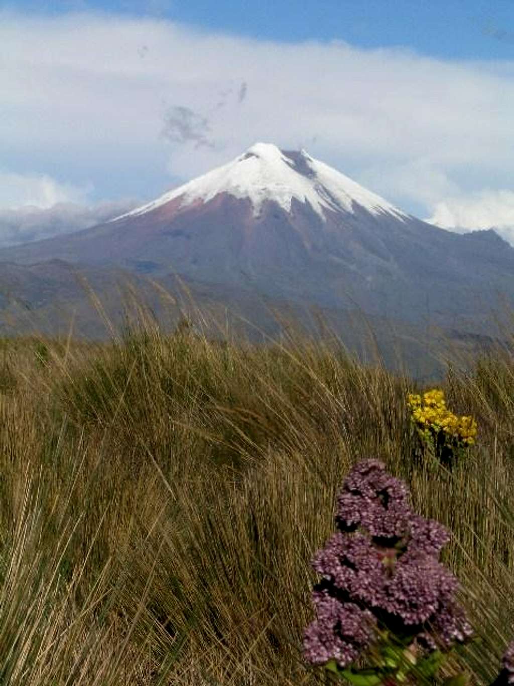 Cotopaxi from the west. Std...