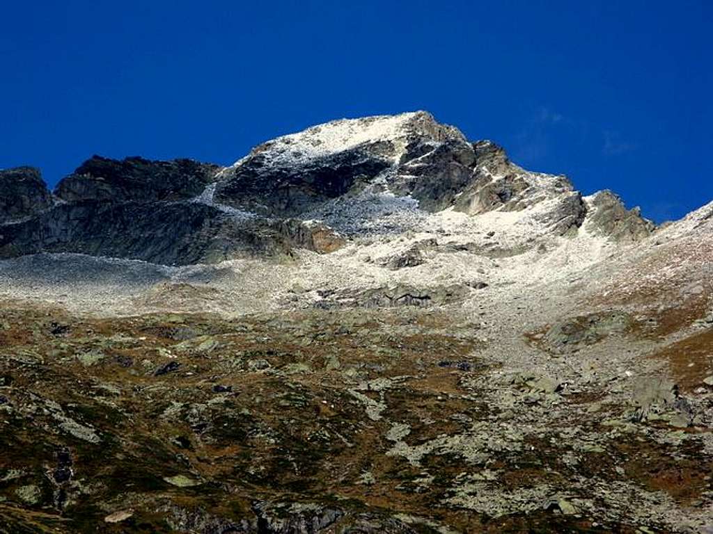 Monte Zucchero in snow