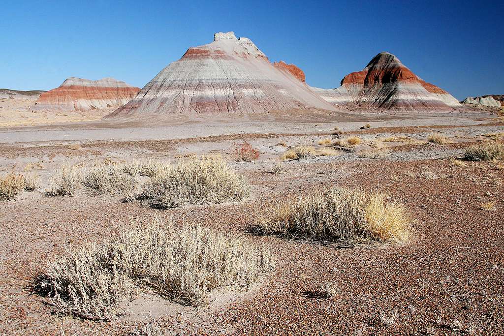 Tepees in Petrified Forest