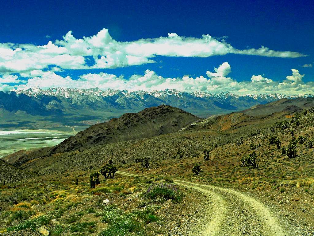 Road to Cerro Gordo