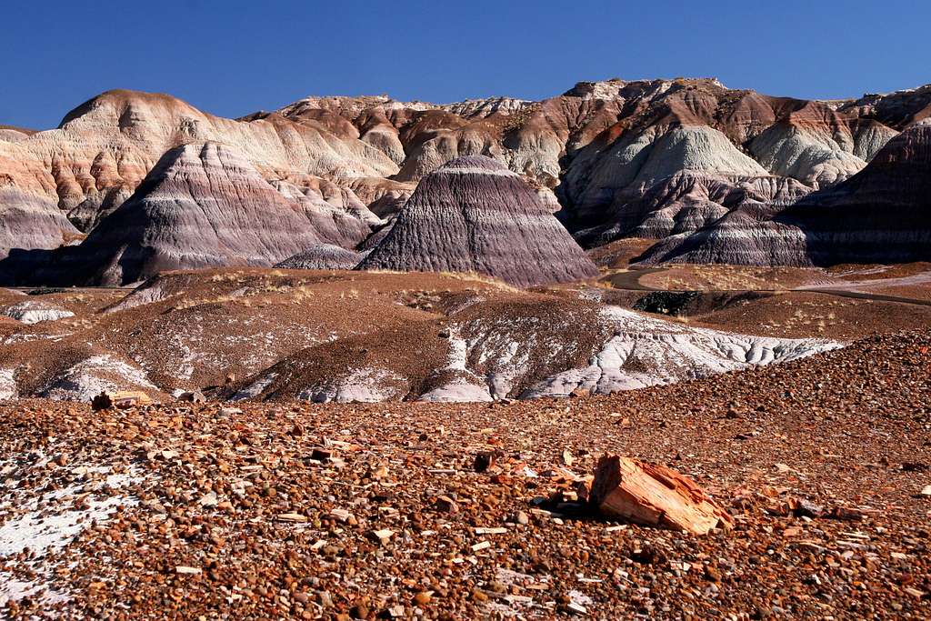 Blue Mesa Trail in Petrified Forest (3 of 4)