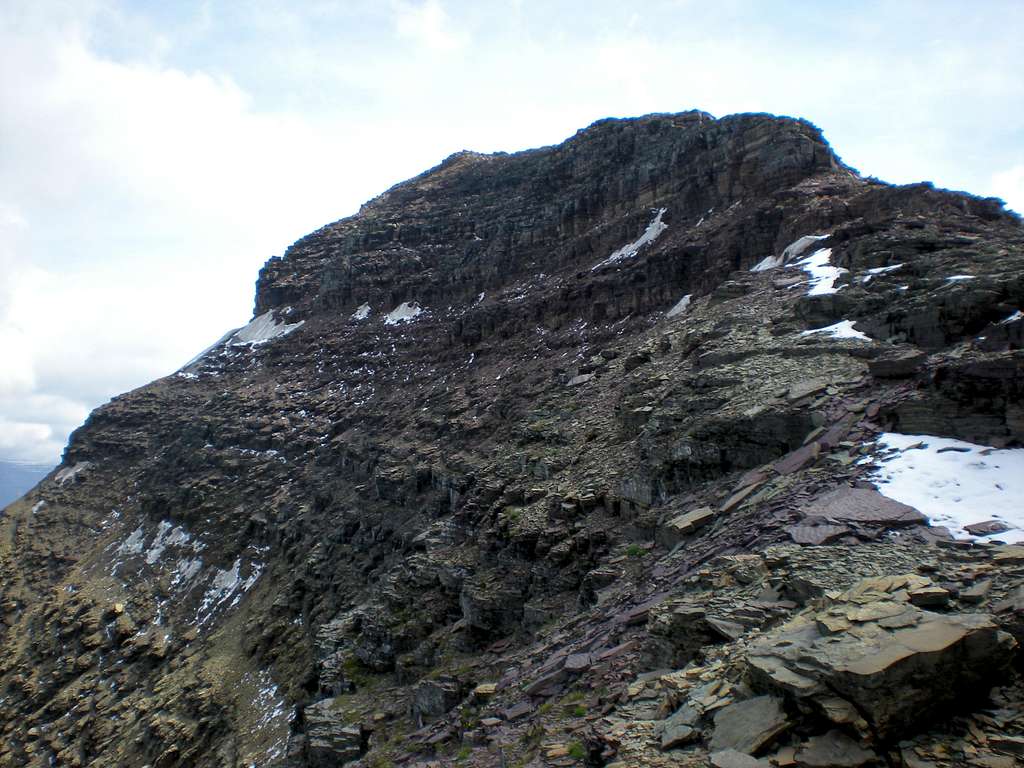 Chapman's Summit Ridge