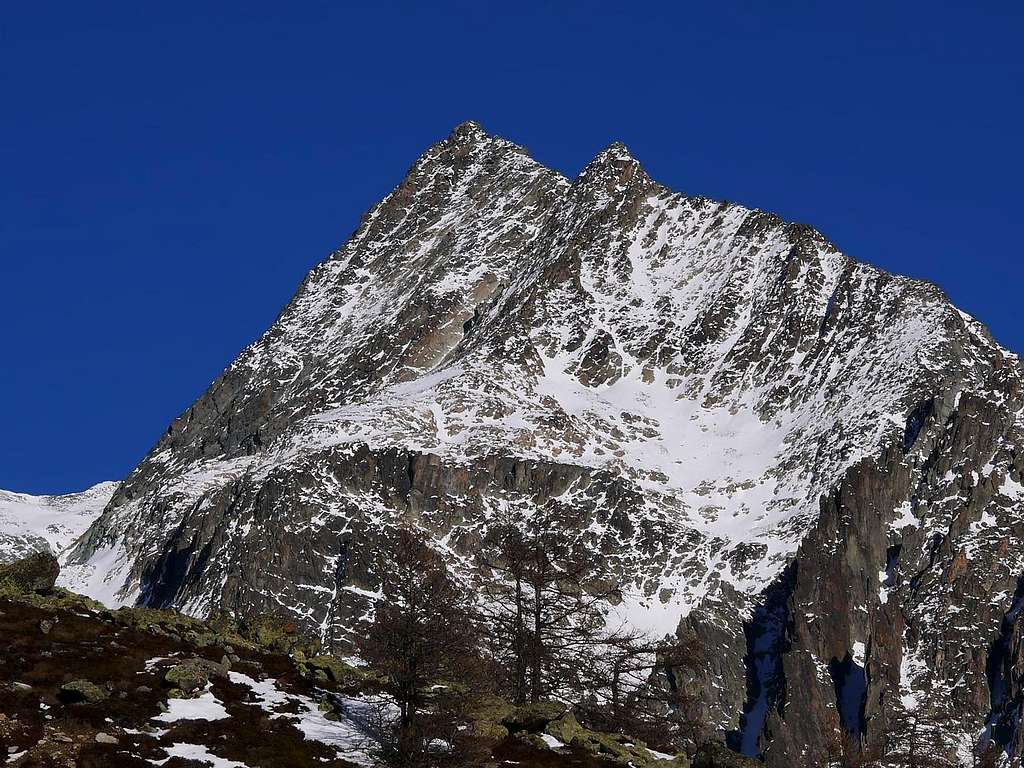 Monte Cervo 