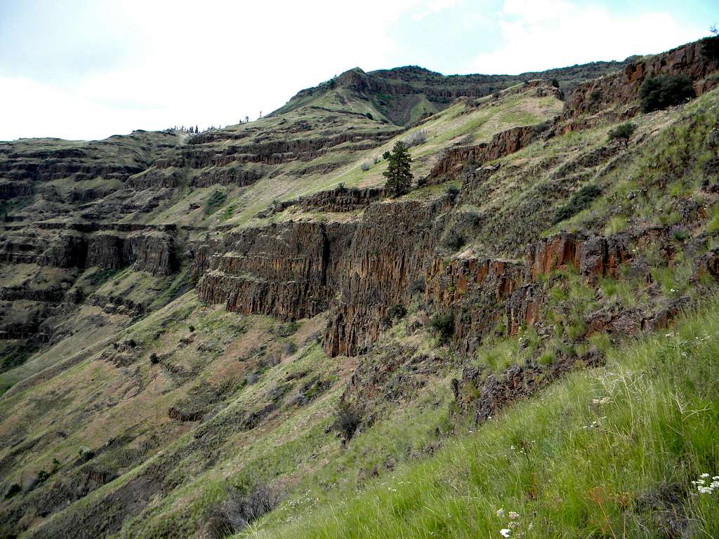 Basalt Cliffs