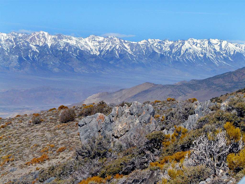 High Sierra from Cerro Gordo Peak