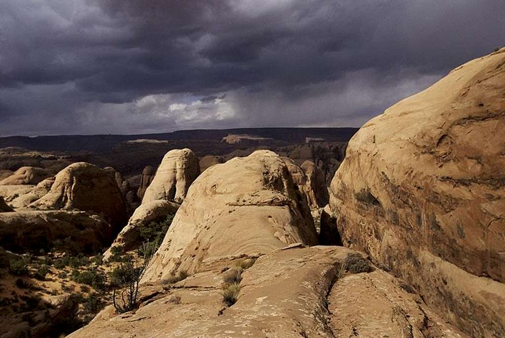 Desert Rock 