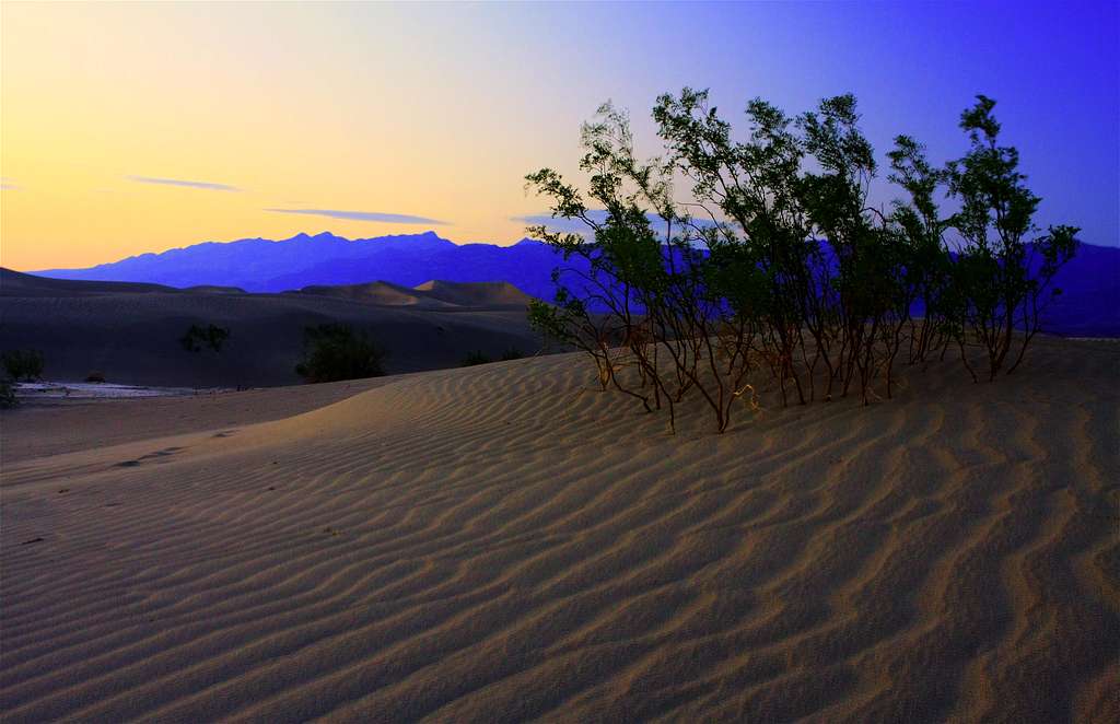 More Mesquite Flat Dunes