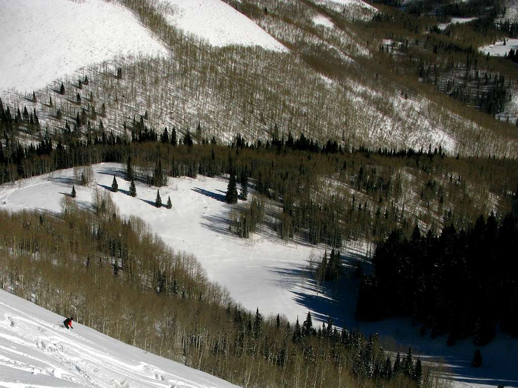Skiing Reynolds Peak