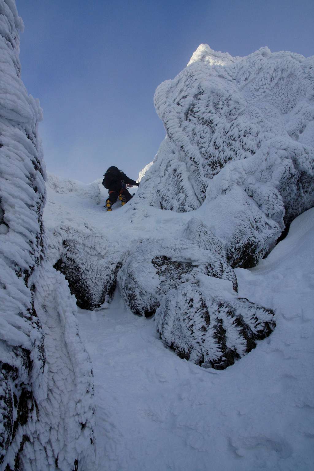 Hidden Gully