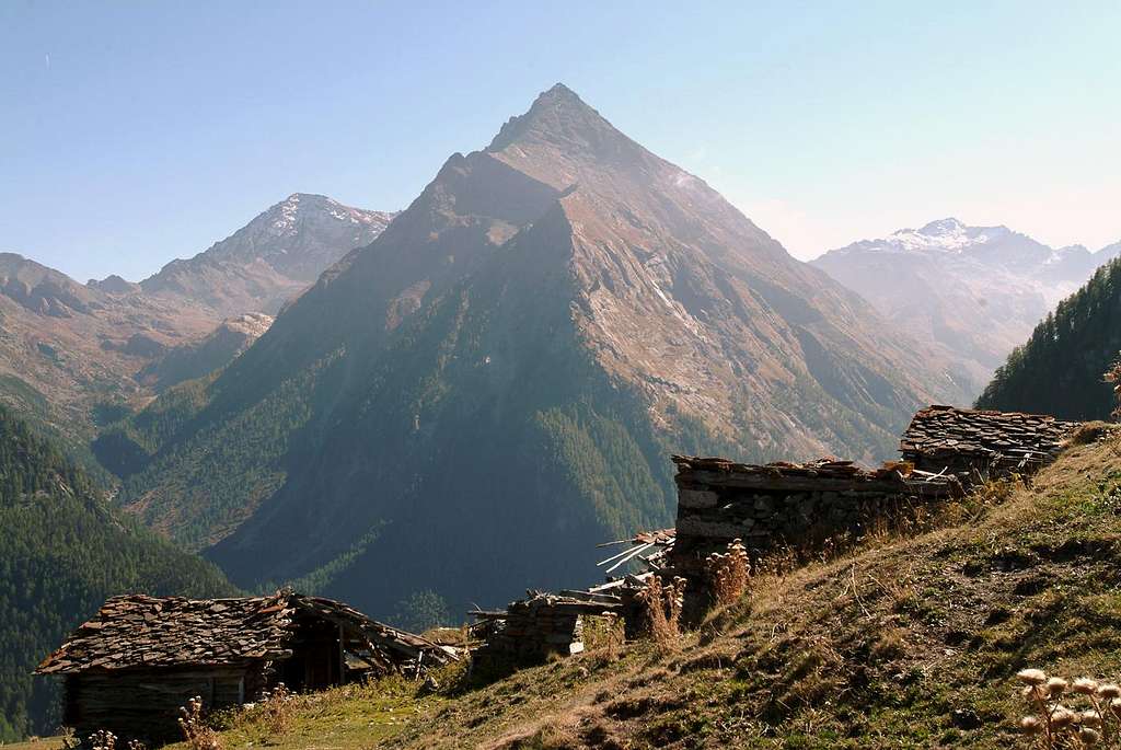 Old Prapremier  Alp