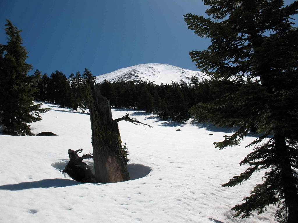 Mt McLoughlin