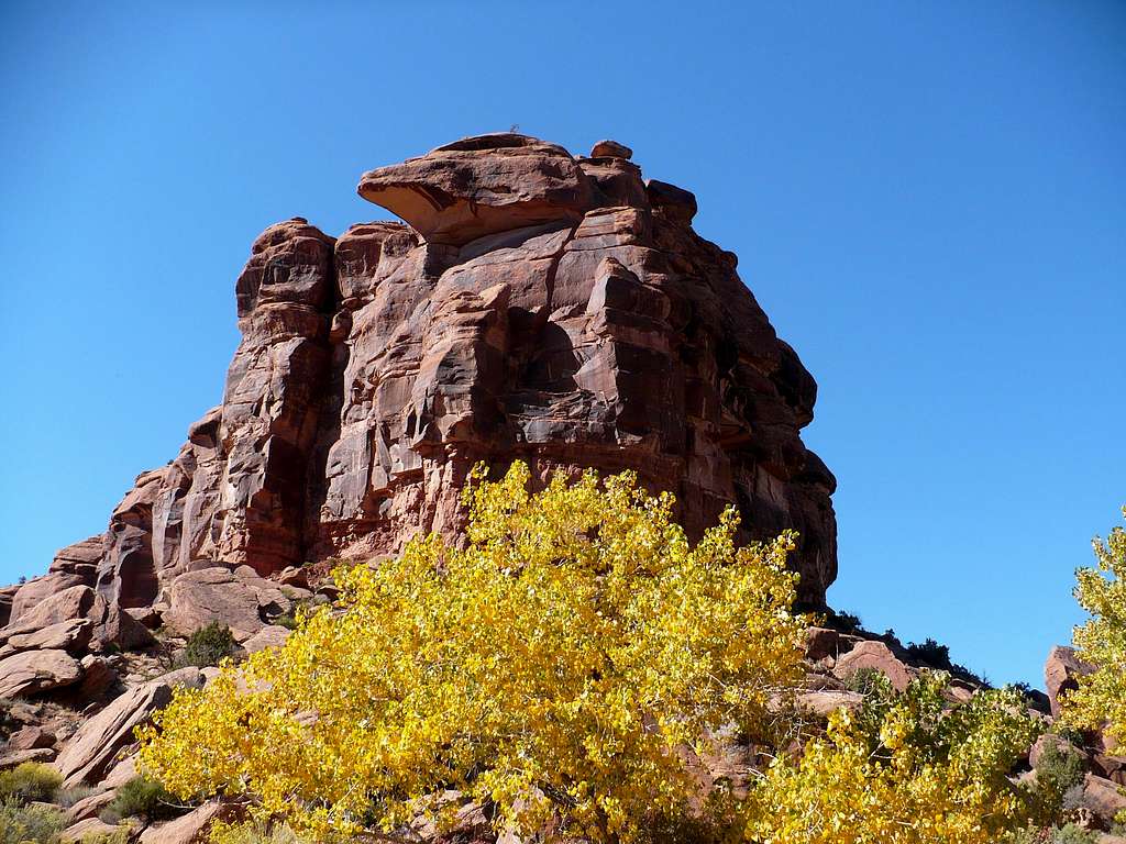 Big Dominguez Canyon Fall