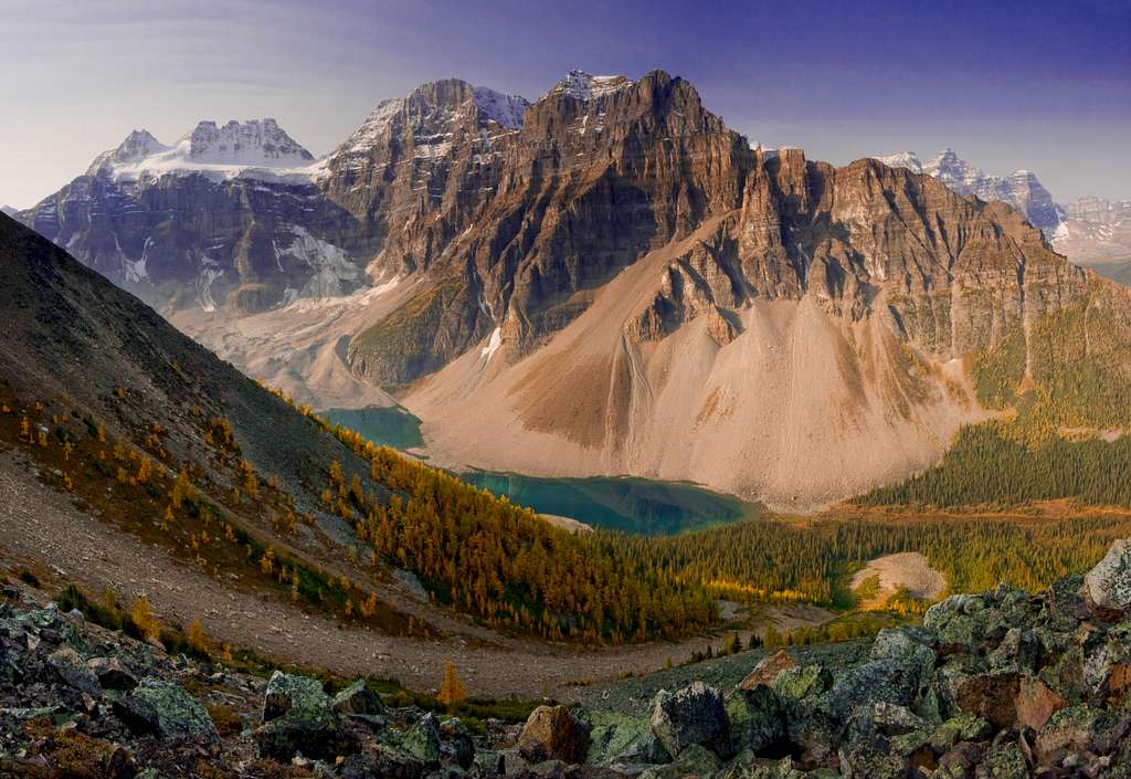 Larches above the Consolation Lakes