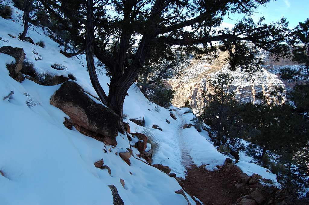 Snowy Hermit Trail