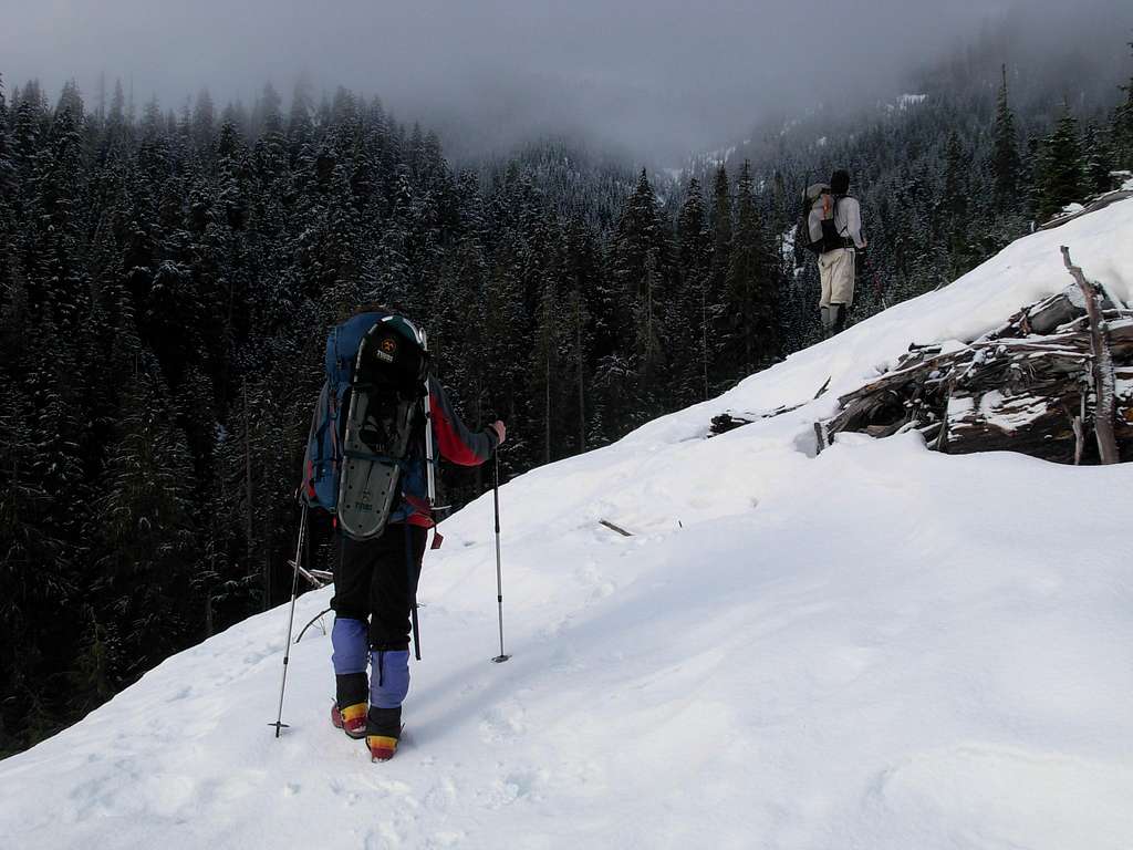 Ascending Along Creek Tributary