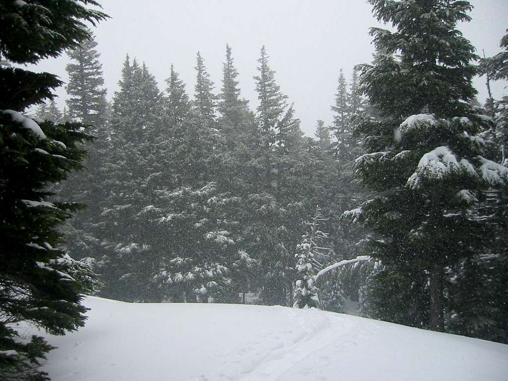 TJ Trail Snow