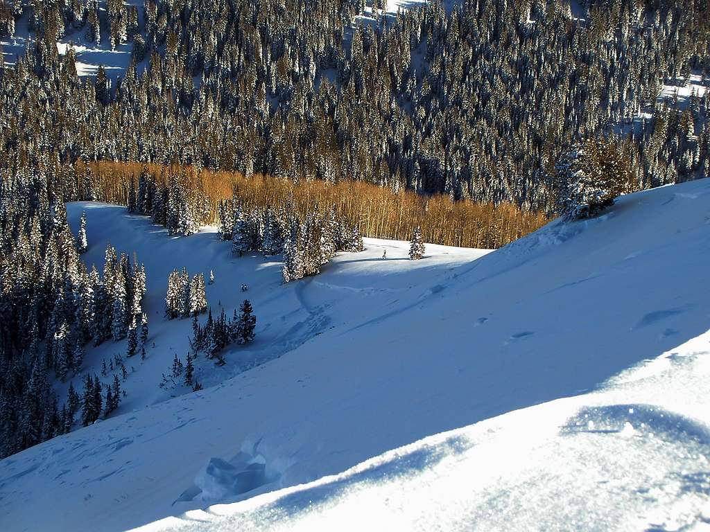 Avalanche in West Monitor (PC Ridge) that was over 1/2 mile wide