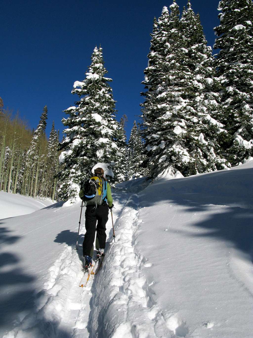 Skinning in Beartrap Fork