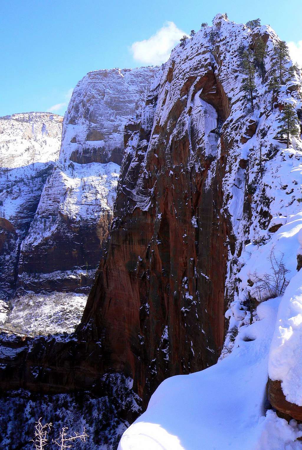 Snow Covered Angels Landing