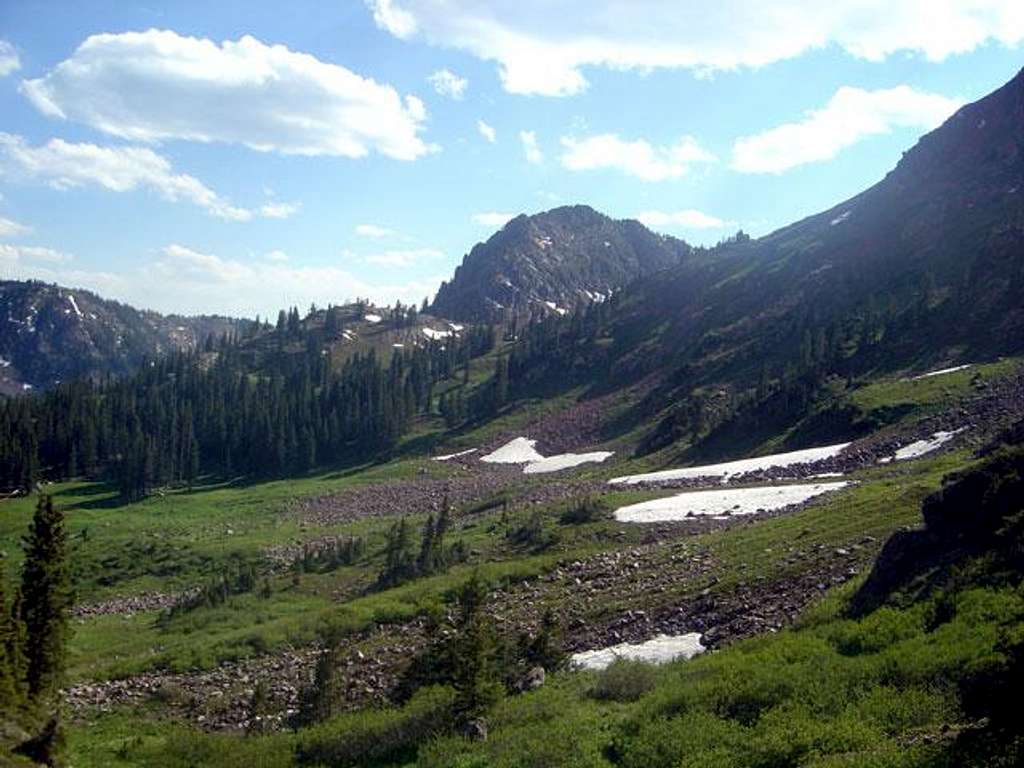 Shot of the large meadow...