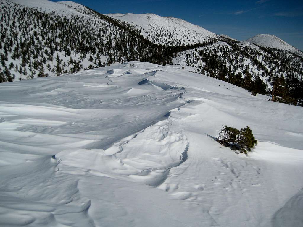 The view from Dobbs Peak . . . 