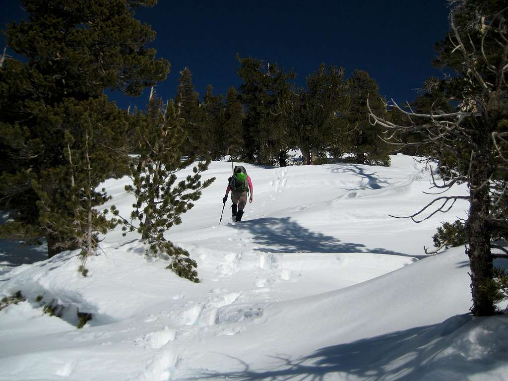 Ascending the West Ridge . . . 