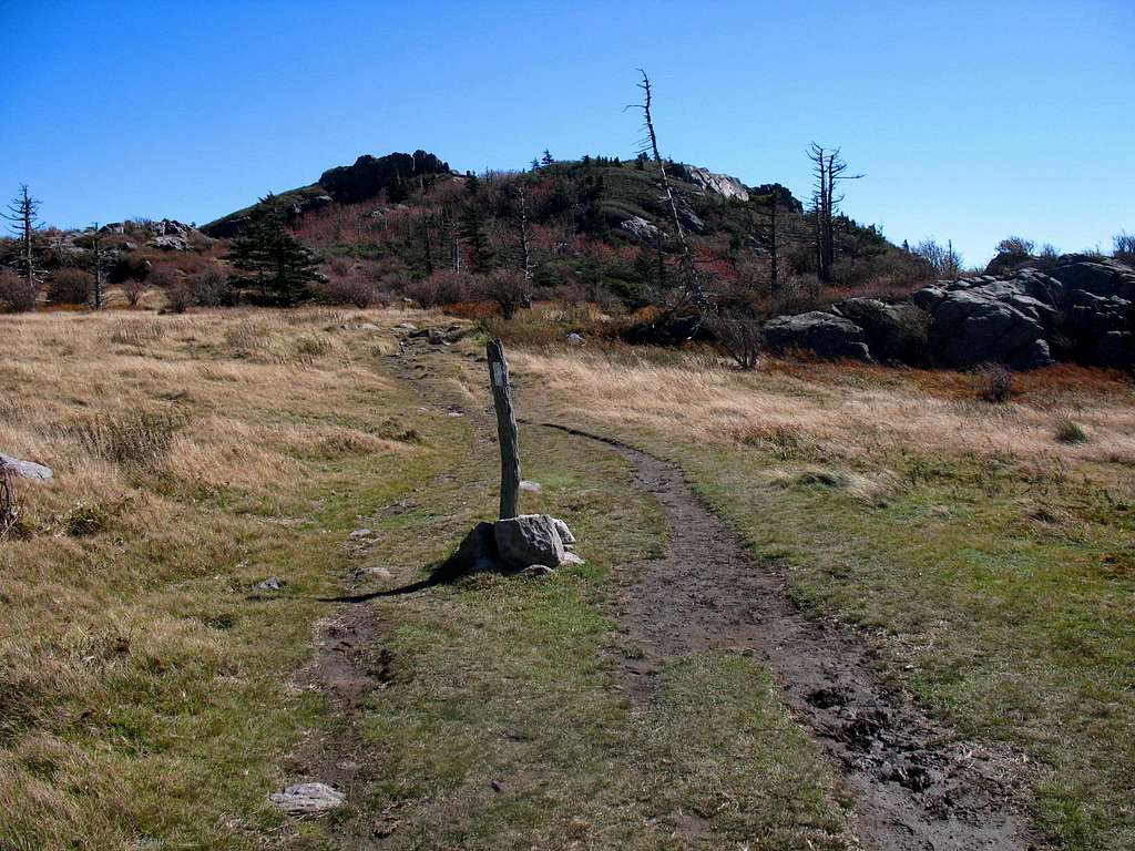 Appalachian Trail on Wilburn Ridge