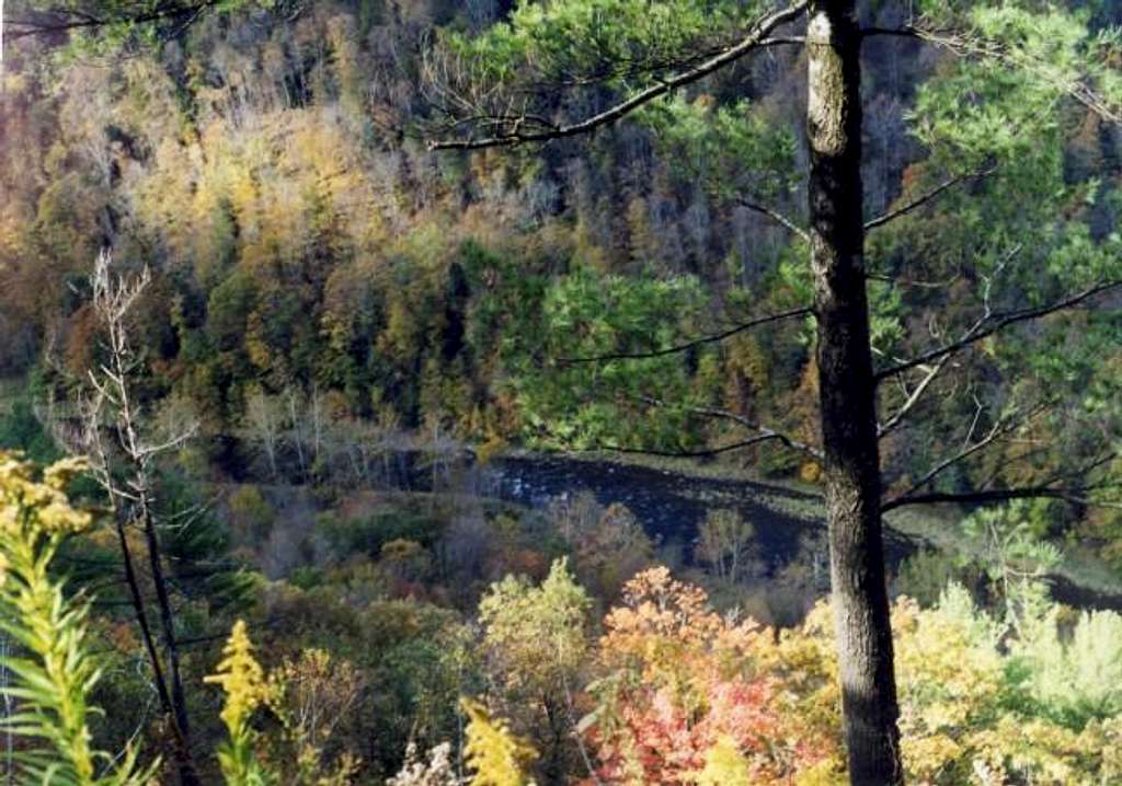 Looking down into the canyon...