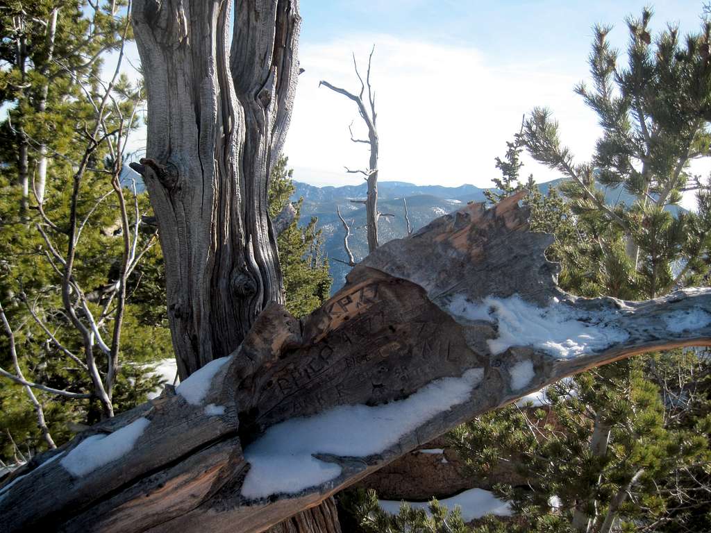 Carved snag on summit