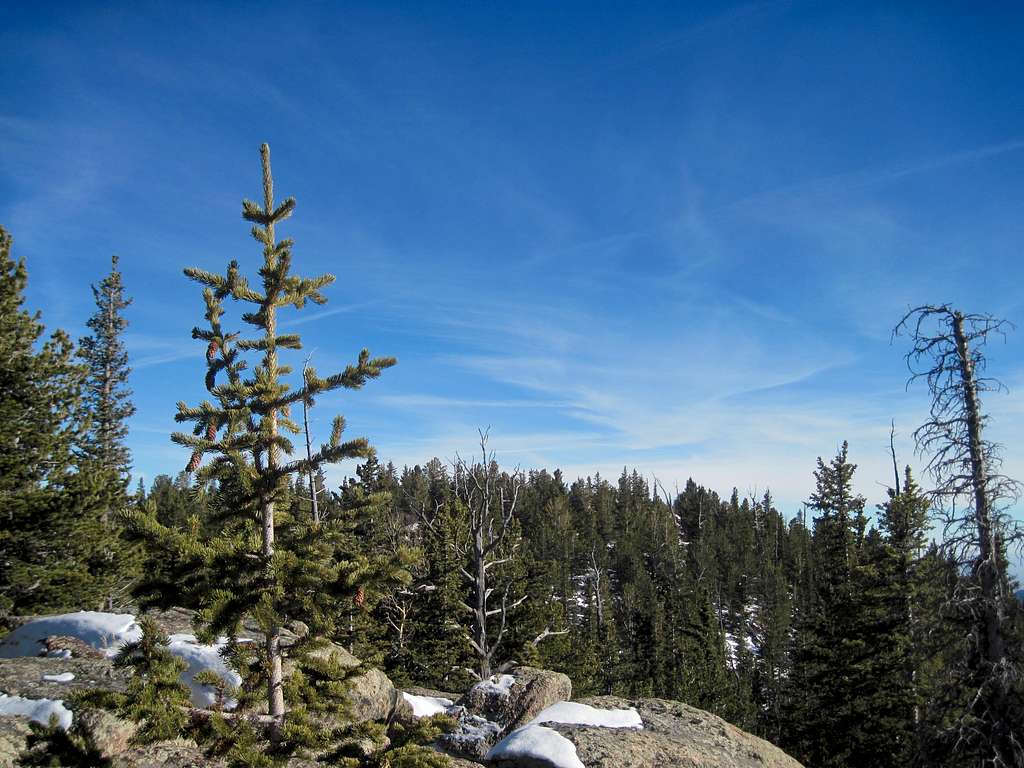 Mount Arthur summit