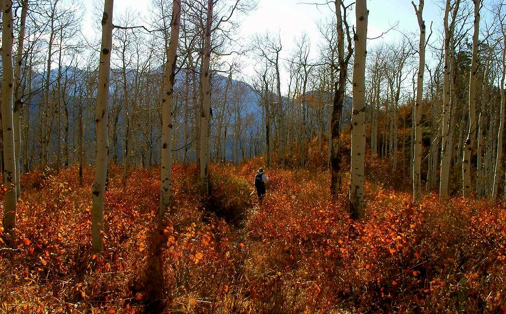 Brad hiking in some fall colors