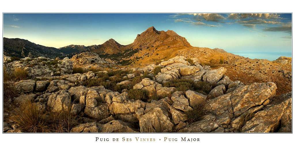 Puig de Ses Vinyes - Puig Major