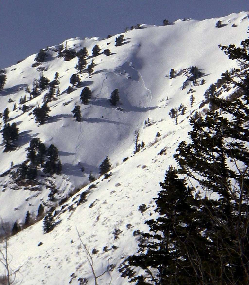 Avalanche on Gobblers Knob