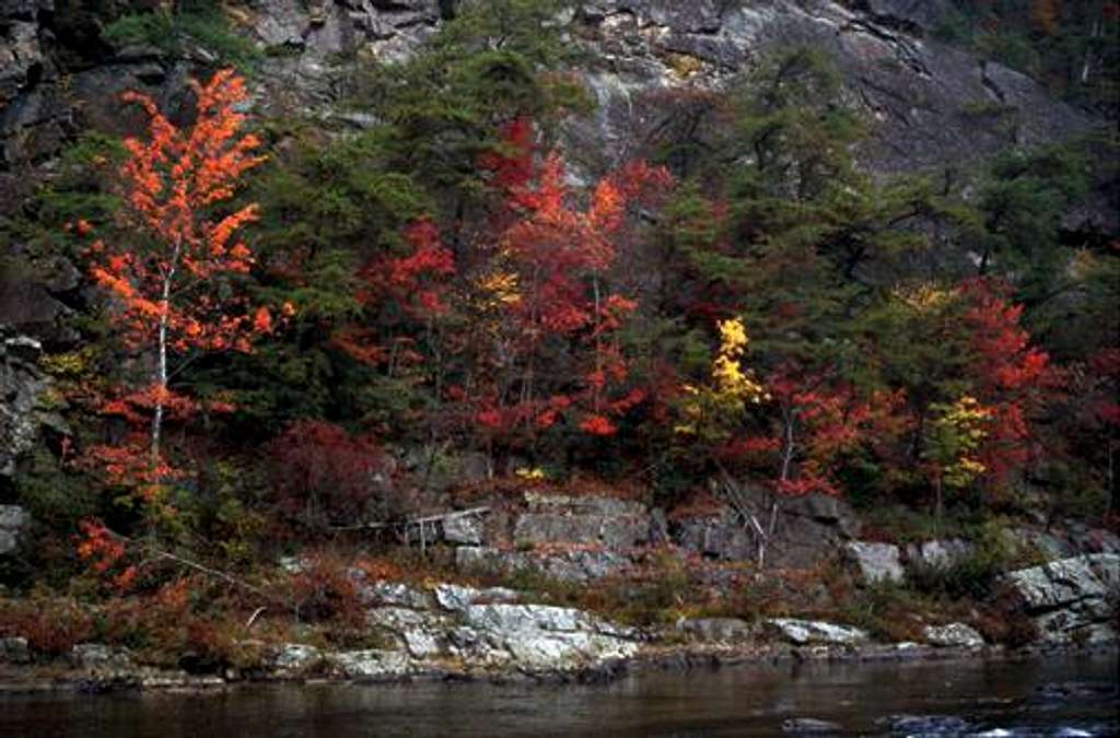 Fall Color in The Watauga River Gorge