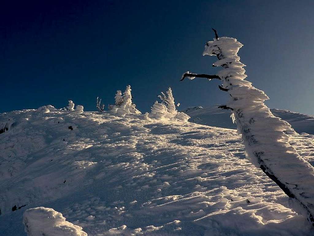 Walking in the snowy Val d'Aran