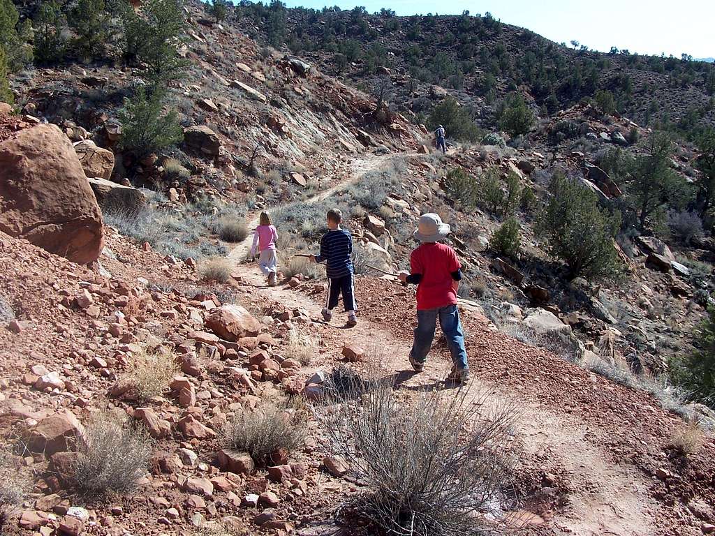 Petrified Forest Trail