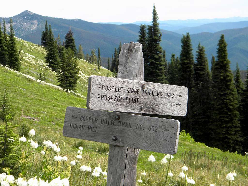 Prospect Ridge Trail Junction