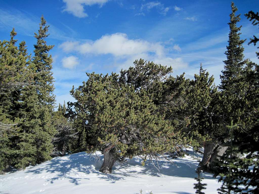 Snowy summit area