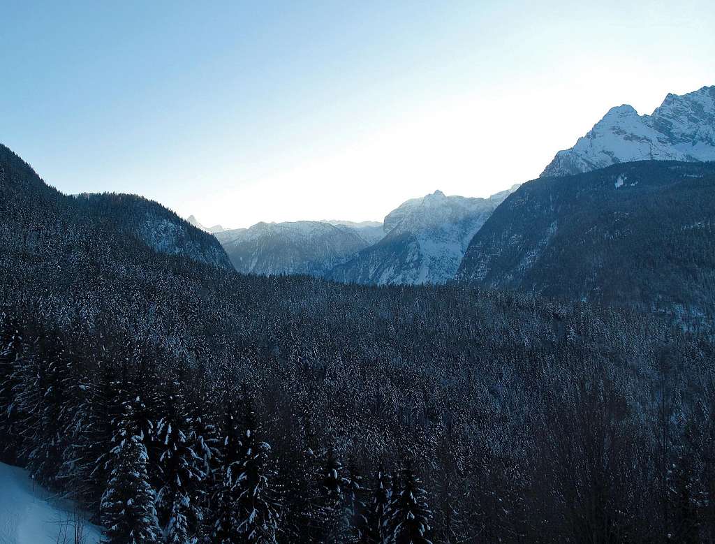 Forest above the Königssee and Watzmann group behind