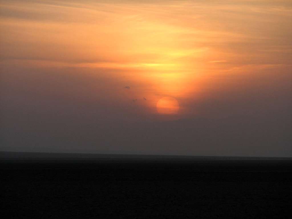 Sunset In Desert