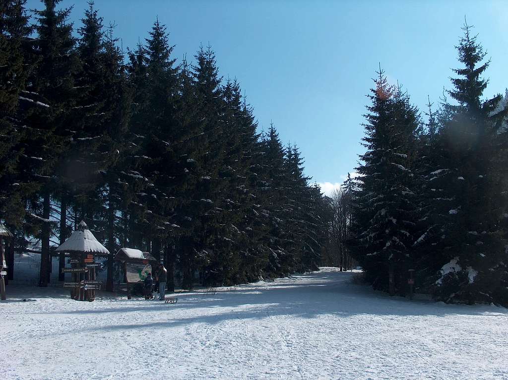 View from Andrzejowka hut