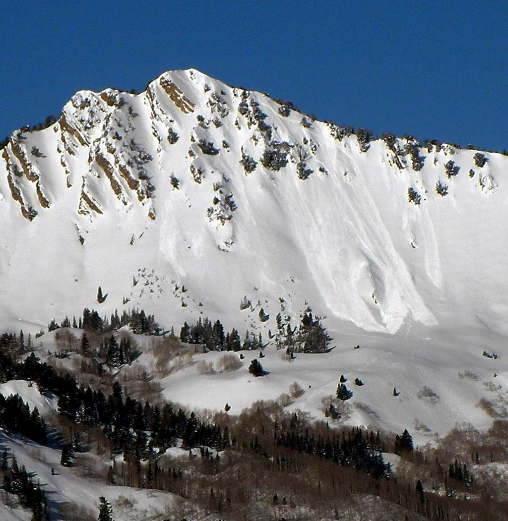 Avalanche on Mount Raymond
