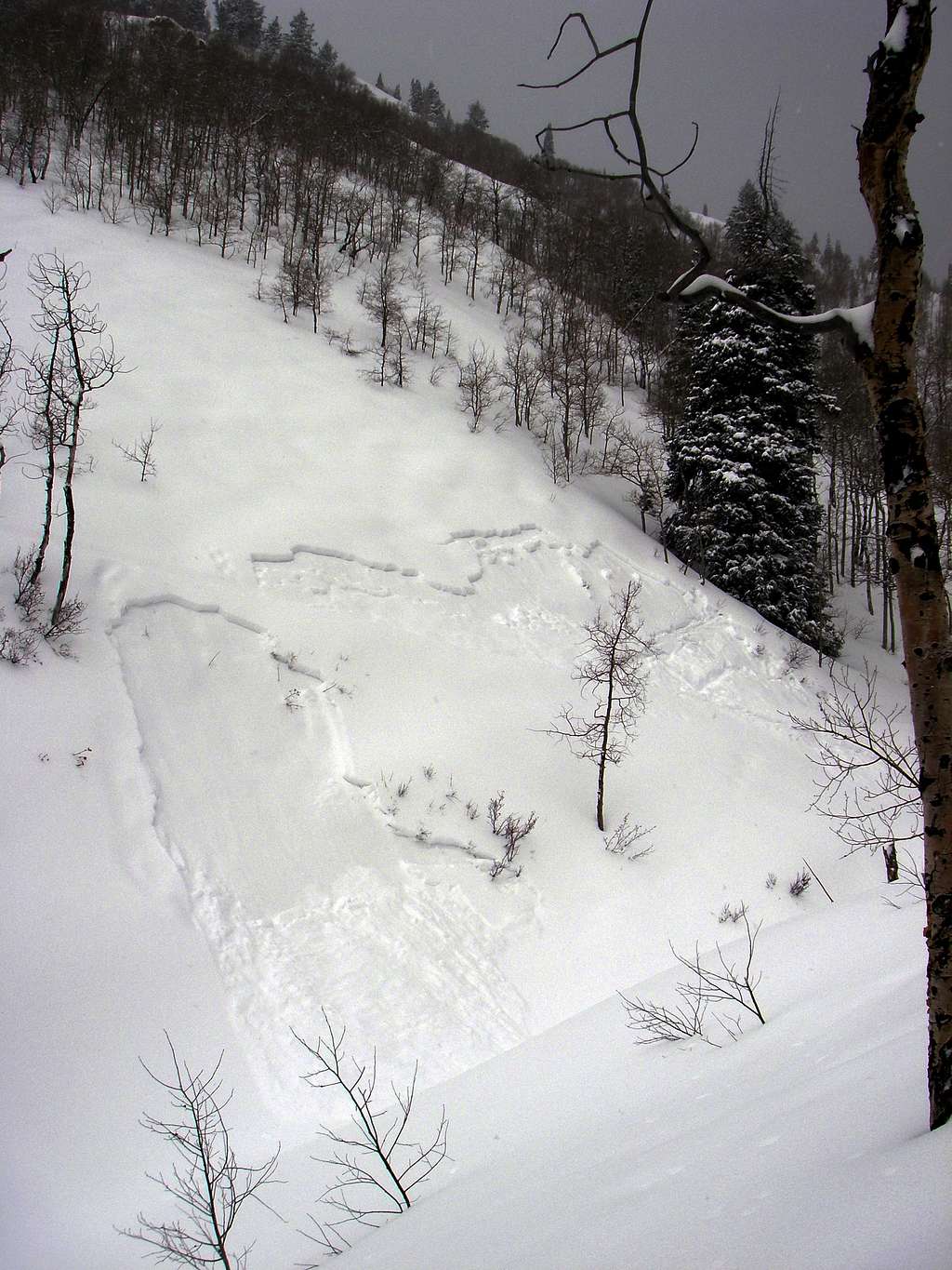 An avalanche in Mill D North