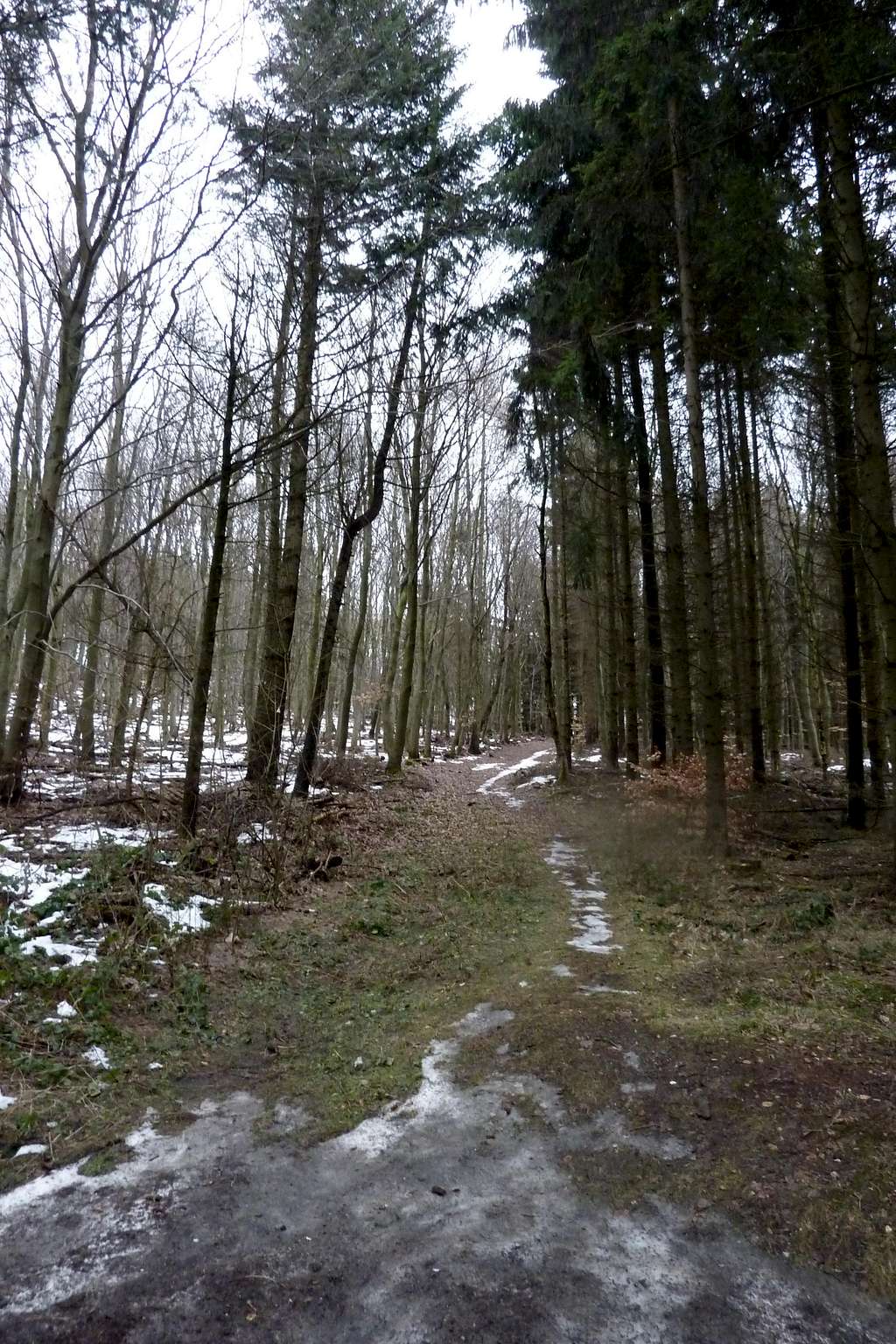 Typical Trail