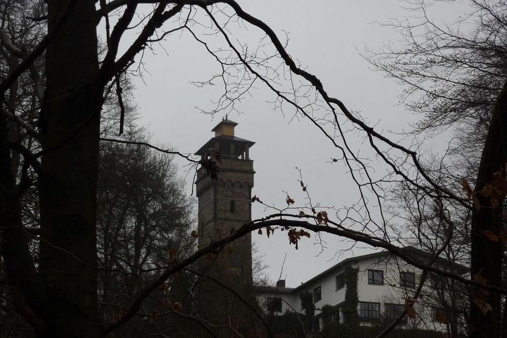 Tower from the Trail