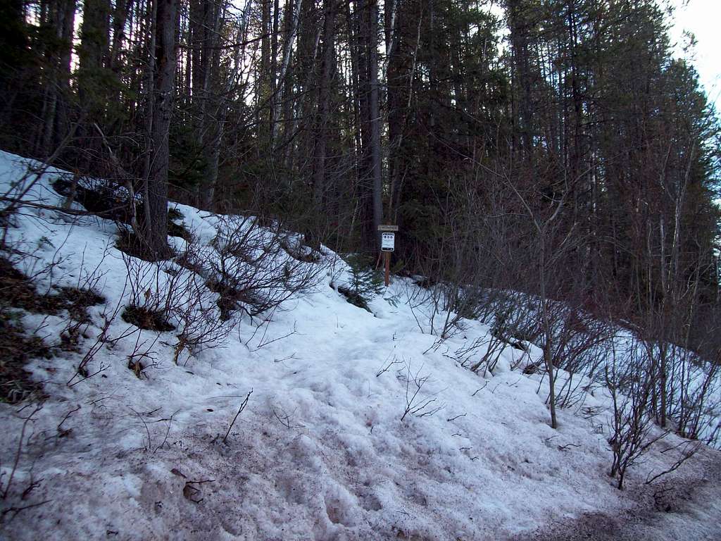 Ousel Peak trail