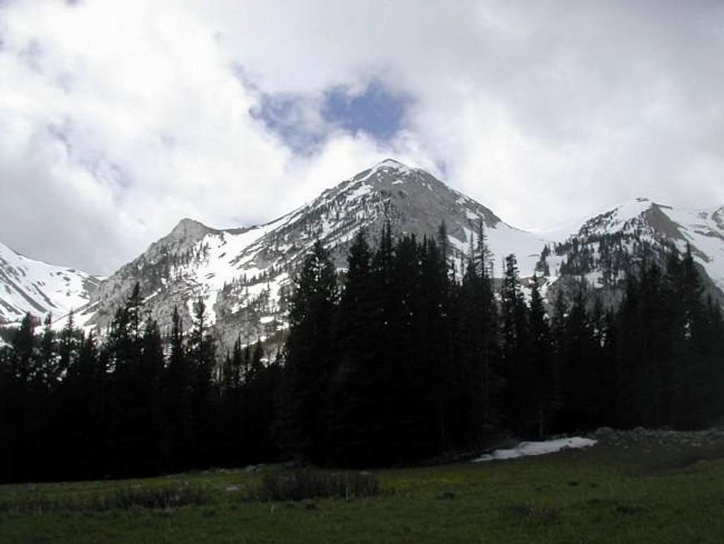 Sacagawea Peak. June, 2004.