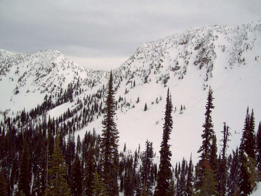 View of Noisy Creek Basin