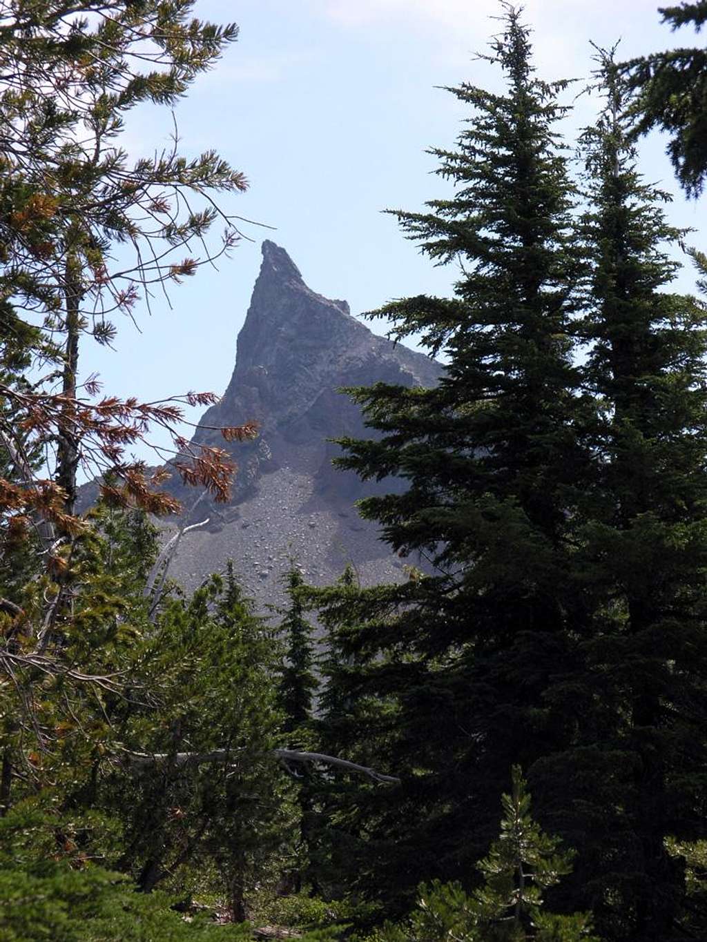 Mt Thielsen framed by trees