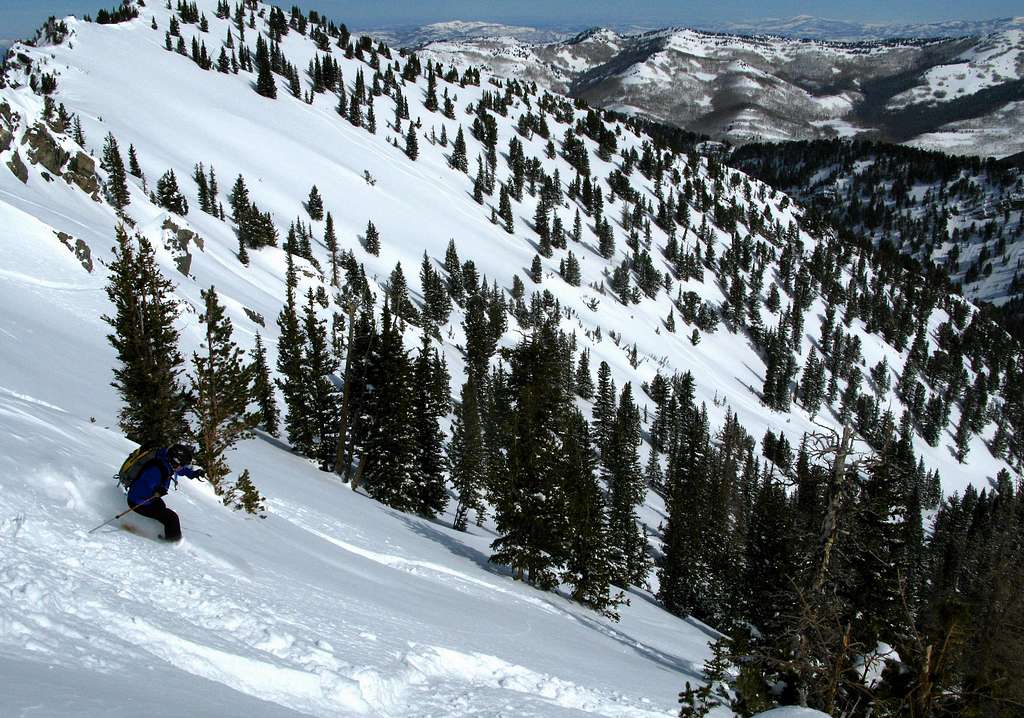 Skiing into Days Fork
